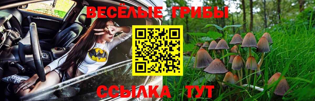 купить наркотик  Псилоцибиновые грибы Psilocybine cubensis  Вход с VPN  Псилоцибиновые грибы Psilocybine cubensis  Арзамас 
