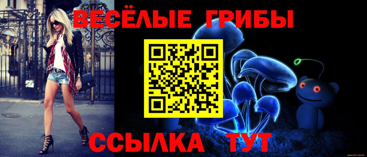 Псилоцибиновые грибы MAGIC MUSHROOMS Арзамас